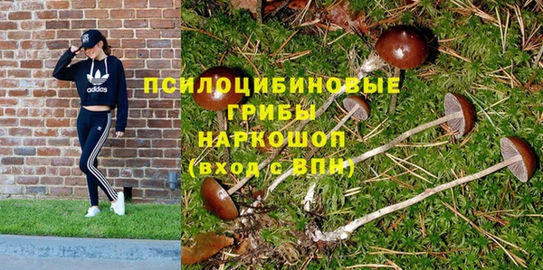 дурь Армянск