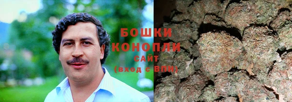 PSILOCYBIN Арсеньев