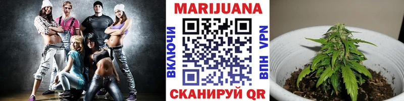 Бошки марихуана THC 21% Шагонар